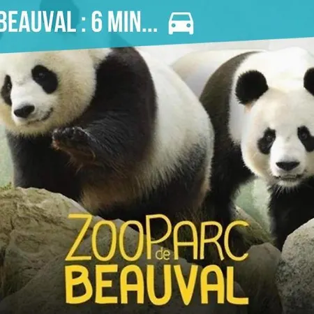 Gîte zooval 9 personnes, spa, à 5 min du zoo de Beauval Noyers-sur-Cher Exterior foto