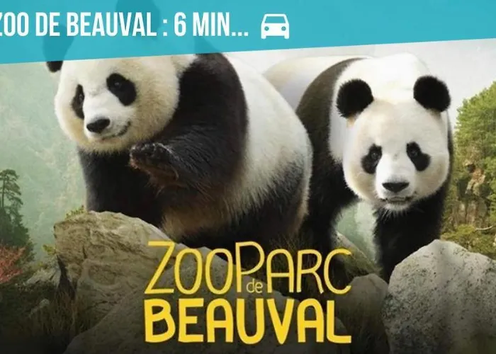 Gîte zooval 9 personnes, spa, à 5 min du zoo de Beauval